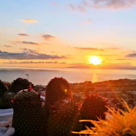 Wonderful View, Huge Terrace Solarium, Private Parking Apartment Costa Adeje (Tenerife)